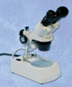 Stereo Microscope