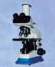 Binocular Microscopes
