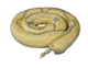 Chemical Absorbent Boom