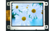 Winstar LCD Displays