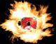 The ShockLog can withstand extreme environments