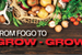From FOGO to Grow-Grow!